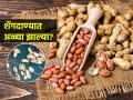 शेंगदाण्यांमध्ये अळ्या होऊ नयेत म्हणून २ साेपे उपाय, महिनोंमहिने चांगले टिकतील- वासही येणार नाही - Marathi News | How to save peanuts or shengdane for long time in marathi, How to store peanut properly | Latest sakhi News at Lokmat.com