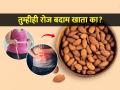 २-५ की १०? दररोज किती बदाम खाणं तब्येतीसाठी चांगलं? नेमके कधी खावे? वाचा तज्ज्ञांचा सल्ला - Marathi News | How many almonds should you eat in a day, what is the proper time for eating badam? | Latest sakhi Photos at Lokmat.com