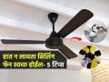 पंख्यावर धुळीचे काळे थर आलेत? हात न लावता पंखा स्वच्छ करण्याच्या ४ ट्रिक्स, स्वच्छ दिसेल पंखा - Marathi News | Super Tricks Home For Cleaning Ceiling Fan at Home : How to Clean a Ceiling Fan in 4 Simple Steps | Latest sakhi News at Lokmat.com