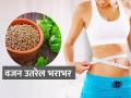 वजन वाढण्याचं टेन्शन? 'या' पद्धतीने खा धणे, बघा चमच्याभर धण्यांची कमाल, वजन राहते आटोक्यात - Marathi News | How to use dhane or coriander seeds for weight loss? Home remedies for improving digestion and metabolism | Latest sakhi News at Lokmat.com
