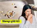 सिंकमधून खूपच कुबट वास येतो, ३ उपाय - सिंक स्वच्छ होऊन दुर्गंधी निघून जाईल - Marathi News | Home remedies for removing odour from sink, How to reduce bad smell from sink and basin | Latest sakhi News at Lokmat.com