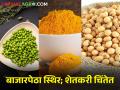 हरभरा, हळद, सोयाबीन आवक वाढली; मात्र दर जैसे थे - Marathi News | gram, turmeric, soybeans market rate constant | Latest agriculture News at Lokmat.com