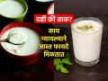 दही की ताक-वजन कमी करण्यासाठी फायदेशीर काय? डॉक्टर सांगतात दोघांतील फरक व फायदे - Marathi News | Curd And Buttermilk Which Is Better For Health : What Is The Difference Between Curd And Buttermilk | Latest sakhi News at Lokmat.com