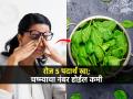 चष्मा नकोसा वाटतो, नजर तेज ठेवण्यासाठी रोज ५ पदार्थ खा; डोळ्यांच्या तक्रारी राहतील दूर - Marathi News | Add 5 These Foods In Your Diet To improve Eye sights And Get Rid Of Eye Disease According to Research | Latest sakhi News at Lokmat.com