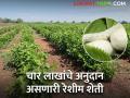 मराठवाडा; फुलंब्री तालुक्याची रेशीम शेती जोमात - Marathi News | The sericulture of Phulumbri taluka is booming | Latest agriculture News at Lokmat.com