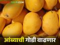 मराठवाड्याच्या बाजारात आंबा दाखल; कैर्‍या महागल्या - Marathi News | Mango entered Marathwada market; green mango are expensive | Latest agriculture News at Lokmat.com