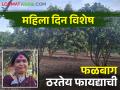 केशर आंब्याने दिली हमी; फळबाग येतेय शेतकर्‍यांच्या कामी - Marathi News | guaranteed income for farmer from kesar mango orchard | Latest agriculture News at Lokmat.com