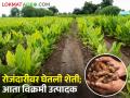 Success Story : हळद आणि आल्यात या परभणीच्या शेतकर्‍याचा नाद नाही करायचा - Marathi News | Success Story: The farmer of Parbhani did not make noise in turmeric and ginger | Latest agriculture News at Lokmat.com