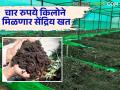शेतीसाठी हे खत वापरा आणि सेंद्रिय पीक पीकवा - Marathi News | Use this fertilizer for agriculture and grow organic crops | Latest agriculture News at Lokmat.com