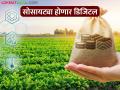औषधे अन विविध सेवांच्या माध्यमातून शेतकर्‍यांना मिळणार सुविधा - Marathi News | Farmers will get facilities through medicines and various services | Latest agriculture News at Lokmat.com