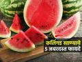 शरीरातली उष्णता कमी करायचीये? रोज खा कलिंगड-५ भन्नाट फायदे; हाडं मजबूत होतील - Marathi News | Summer Special Water Melon Benefits : Top Health Benefits Of Eating Watermelon | Latest sakhi News at Lokmat.com