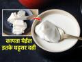 विकतसारखे दही घरात तयार होते? एक जबरदस्त टीप; पाणी न सुटता - गोडसर दही होईल तयार.. - Marathi News | Homemade Curd Recipe - Tips & Tricks To Make Curd at Home | Latest sakhi News at Lokmat.com