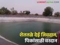 शेततळ्याच्या माध्यमातून पिकांना सिंचनाचे बळ - Marathi News | Power to irrigate crops through the water pond | Latest agriculture News at Lokmat.com