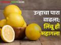 जळगाव ते भुसावळ लिंबूच्या बाजारभावात तेजी; आवक कमीच - Marathi News | Market price of lemon from Jalgaon to Bhusawal increased; Fewer sellers | Latest agriculture News at Lokmat.com