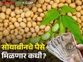 नाफेडच्या सोयाबीन खरेदीचे १.६४ कोटींचे पेमेंट केव्हा? शेतकरी आर्थिक अडचणीत - Marathi News | When is the payment of 1.64 crores for soybean purchase of Nafed? Farmers in financial trouble | Latest agriculture News at Lokmat.com
