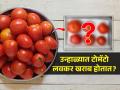 उन्हाळ्यात टोमॅटो लवकर खराब होतात? बघा १ सोपा उपाय- महिनाभर टोमॅटो राहतील फ्रेश - Marathi News | How to store tomato for a month, tips and tricks for the storage of tomato, How to keep tomato fresh for a long | Latest sakhi News at Lokmat.com