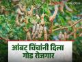 उन्हाळ्याच्या दिवसात महिलांच्या हाताला मिळाले घरबसल्या काम - Marathi News | During the summer days, women got work at home | Latest agriculture News at Lokmat.com