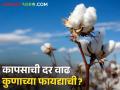 मायबाप सरकार, आता हे बरं नव्हे; शेतकरी संतप्त - Marathi News | parentals government, this is not good now; Farmers are angry | Latest agriculture News at Lokmat.com