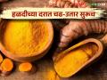 नवीन हळद बाजारात दाखल; वाचा काय मिळतोय दर - Marathi News | New turmeric market entry; Read what rates are available | Latest agriculture News at Lokmat.com