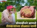 सोयाबीन ऐवजी इतर पिकांकडे शेतकऱ्यांचा वाढतोय कल - Marathi News | Farmers are increasingly turning to other crops instead of soybeans | Latest agriculture News at Lokmat.com