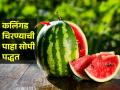 कलिंगड चिरण्याची सोपी- झटपट पद्धत, कलिंगडाच्या रसाळ फोडी आणि बियाही निघतील पटापट - Marathi News | Stop Cutting Watermelon Wrong! Here's the Right Way | Latest sakhi News at Lokmat.com