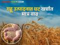 गहू काढणीला आला वेग; आधुनिक हार्वेस्टरचा वापर वाढला - Marathi News | Wheat harvest speed up; The use of modern harvesters increased | Latest agriculture News at Lokmat.com