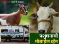 तुमच्या दारी ही येईल पशुधनाचा पशुवैद्यकीय दवाखाना; असा करा संपर्क - Marathi News | A livestock veterinary clinic at your doorstep; Do this contact | Latest agriculture News at Lokmat.com