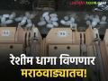 मराठवाड्यात विणणार रेशीम धागा! कर्नाटक, रामपूरची चक्कर थांबणार - Marathi News | Silk thread will be woven in Marathwada! Karnataka, Rampur cycle will stop | Latest agriculture News at Lokmat.com