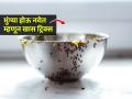 अन्नाचा कण दिसताच मुंग्यांची रांग लागते? ३ ट्रिक्स-१ सेकंदात गायब होतील मुंग्या - Marathi News | How To Get Rid Of Ants In Kitchen : Effective Methods To Get Rid Of Ants Naturally | Latest sakhi News at Lokmat.com