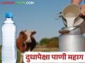 एक लिटर पाणी खरेदी करण्यासाठी २० रुपये अन् दुधाला २५ रुपये भाव ; दूध उत्पादक संकटात - Marathi News | 20 rupees to buy a liter of water and 25 rupees for milk; Milk producers in crisis | Latest agriculture News at Lokmat.com