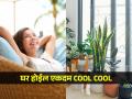 भर उन्हाळ्यातही घर राहील थंडगार! बघा महागडा एसी न घेताही घर कसं ठेवायचं गारेगार - Marathi News | How to keep your house cool in summer without using ac, tips and tricks to make your house cool in hot summer | Latest sakhi News at Lokmat.com
