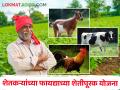 शेतकऱ्यांना पशुधनाच्या संगोपनातून आर्थिक पाठबळ देणाऱ्या विविध सरकारी योजना - Marathi News | Various government schemes that provide financial support to farmers through livestock rearing | Latest agriculture News at Lokmat.com