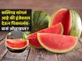 गोड-रसाळ कलिंगड कसा निवडाल? FSSAI नं सांगितलं इंजेक्शन देऊन पिकवलेलं कलिंगड कसं ओळखायचं - Marathi News | Right Way Pick Watermelon : According To Fssai Right Way To Pick Unadulterated Natural Sweet Watermelon Before Eating | Latest sakhi Photos at Lokmat.com