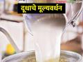 दूध विकून पैसे हाती येत नाही; मग हा उपाय करून बघा - Marathi News | Money does not come from selling milk; Then try this solution | Latest agriculture News at Lokmat.com