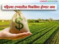 पहिल्या टप्प्यातील शेतकऱ्यांची पीकविमा रक्कम खात्यावर जमा होणार - Marathi News | The crop insurance amount of the farmers in the first phase will be credited to the account | Latest agriculture News at Lokmat.com