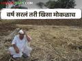 दोन महिने आधीच शेत झाले रिकामे; नांगरणी करायला ही नाहीत पैसे - Marathi News | Two months ago the farm was empty; There is no money for plowing | Latest agriculture News at Lokmat.com
