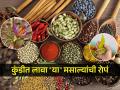 कुंडीमध्ये लावता येतील 'या' मसाल्यांची रोपं, करा प्रयोग- घेऊन पाहा घरच्या मसाल्यांचा स्वाद - Marathi News | Gardening tips, Indian spice plants to grow in your small garden | Latest sakhi Photos at Lokmat.com