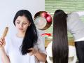 केसांची वाढ खुंटली? टक्कल पडण्याची भीती वाटते? कांद्याचा करा २ प्रकारे वापर-केस भरभर वाढतील - Marathi News | Onion juice for hair growth: Does it work and how? | Latest sakhi News at Lokmat.com