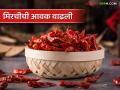 मिरचीचा तिखटपणा काहींसा कमी; आवक वाढली - Marathi News | less some pungency of chilies; Market seller increased | Latest agriculture News at Lokmat.com