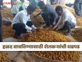 हळद विकायला आणली आणि 'अवकाळी'ने केला घात - Marathi News | Brought turmeric to sell and was killed by unseasonal rain | Latest agriculture News at Lokmat.com