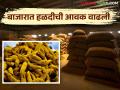 हळदीची विक्रमी २० हजार क्विंटलची आवक; मोजमापासाठी लागणार चार दिवस  - Marathi News | Record arrival of 20 thousand quintals of turmeric; Four days to measure | Latest agriculture News at Lokmat.com