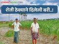 बिनभरवशाच्या शेतीला आता मिळतोय ठेक्याचा आधार! - Marathi News | Unreliable agriculture is now getting contract support! | Latest agriculture News at Lokmat.com