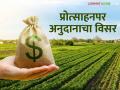 शासनाला प्रोत्साहनपर अनुदानाचा पडला विसर; आठ वर्षांपासून शेतकऱ्यांना मदतीची प्रतीक्षा - Marathi News | The government forgot about the incentive subsidy; Farmers have been waiting for help for eight years | Latest agriculture News at Lokmat.com