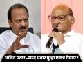 Ajit Pawar : शरद पवारांसोबत पुन्हा एकत्र येणार का? अजित पवारांनी सगळंच सांगितलं - Marathi News | lok sabha election 2024 Commented on whether MP Sharad Pawar and Ajit Pawar will come together | Latest mumbai News at Lokmat.com