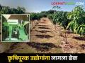 कृषिपूरक उद्योगांची गाडी धावेना; विविध पर्यायही यशस्वी होईना! - Marathi News | The agricultural allied industry is not going successfully; Various options will not be successful! | Latest agriculture News at Lokmat.com