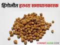 हिंगोलीच्या मोंढ्यात हरभऱ्याची आवक वाढती; भाव ही समाधानकारक - Marathi News | The arrival of gram in Hingoli Mondha increases; The price is satisfactory | Latest agriculture News at Lokmat.com