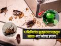 रात्री घरात बारीक झुरळ फिरतात? ४ उपाय, १ मिनिटात गायब होतील झुरळं, किचन राहील स्वच्छ - Marathi News | Home Remedies To Get Rid Of Cockroaches Permanently Home To Remove Cockroaches From House | Latest sakhi News at Lokmat.com