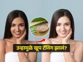 उन्हामुळे सनबर्नचा त्रास? करा 'हा' जादुई उपाय, त्वचेला मिळेल थंडावा- टॅनिंग जाऊन उजळेल त्वचा - Marathi News | home remedies for sunburn and tanning due to hot summer, how to use aloevera for sunburn, how to treat sunburn skin | Latest sakhi Photos at Lokmat.com