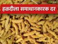 पिवळे सोने असलेल्या हळदीची आवक वाढली; दरवाढीची झळाळी - Marathi News | market seller of yellow gold turmeric increased; The surge in price hikes | Latest agriculture News at Lokmat.com
