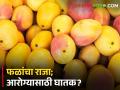 काय म्हणता; फळांचा राजा ठरतोय आरोग्यासाठी घातक? - Marathi News | what do you say Is the king of fruits dangerous for health? | Latest agriculture News at Lokmat.com